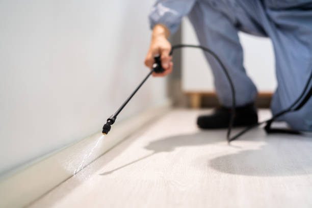 Licensed Rodent Control service in Brooks County County, TX - Nex Pest Control